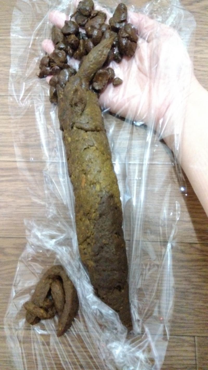 出品者名-写真-1